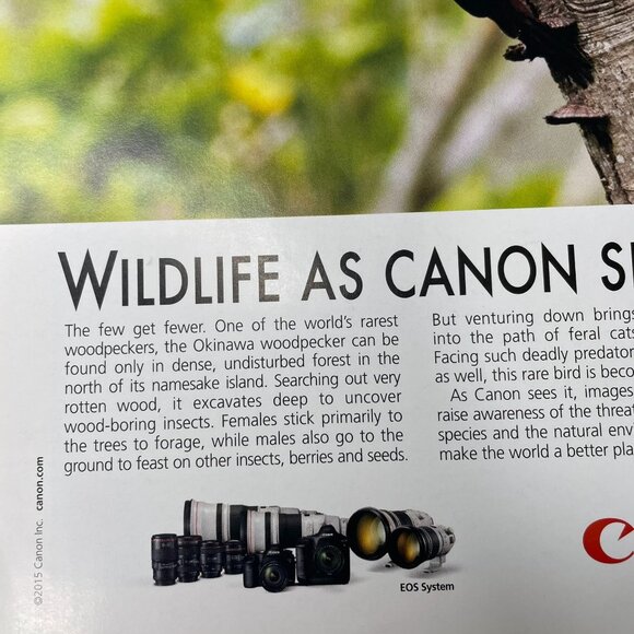 2015 Wildlife As Canon Sees It Print Ad Full Page Original u - Picture 4 of 6